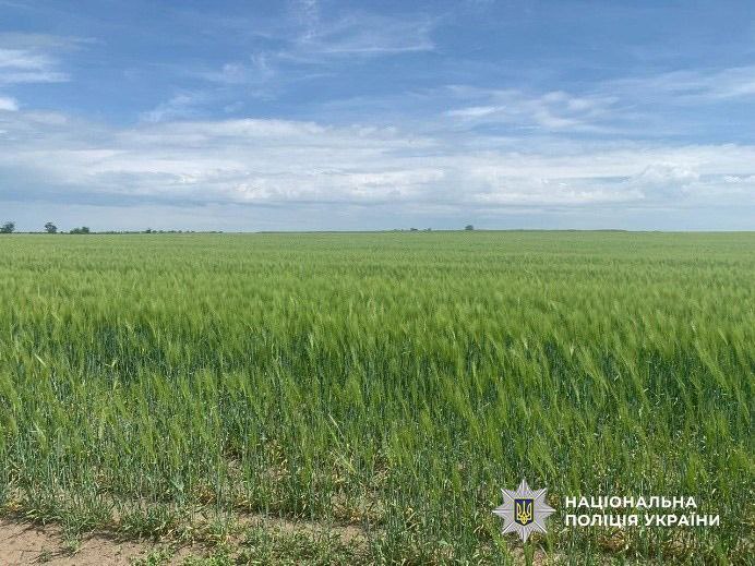 Підприємець у Болградському районі незаконно захопив земельну ділянку