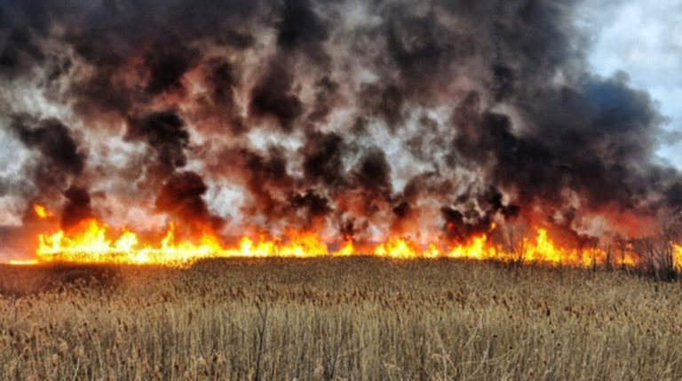 У Вилківській громаді очерет масштабно палає вже другий день