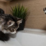 У Одесі масово припинено водопостачання — повний перелік адрес