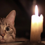 Оновлений розклад відключень електропостачання в Одеській області на 20 січня — ФОТО