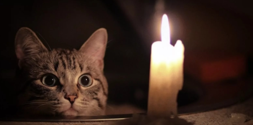 Оновлений розклад відключень електропостачання в Одеській області на 20 січня — ФОТО