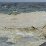 Забруднення моря загрожує пляжному сезону в Одесі