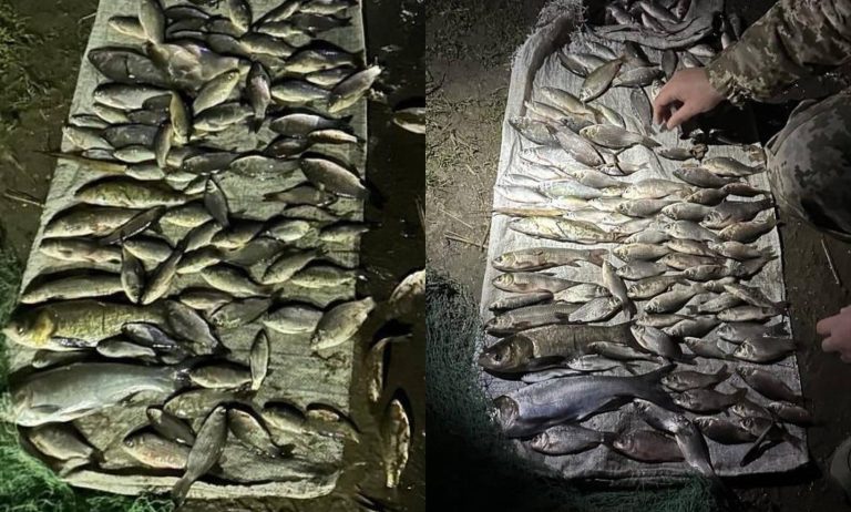 У Кілійській громаді на Дунаї спіймали браконьєра з уловом понад 300 тисяч гривень