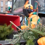 В Одесі запрацювали спеціальні майданчики для здачі новорічних ялинок