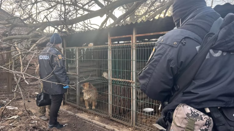 В Одеській області поліція вилучила у жінки тварин — подробиці інциденту