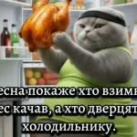 Одеські усмішки: фінальна зимова п’ятниця для підзарядки настрою