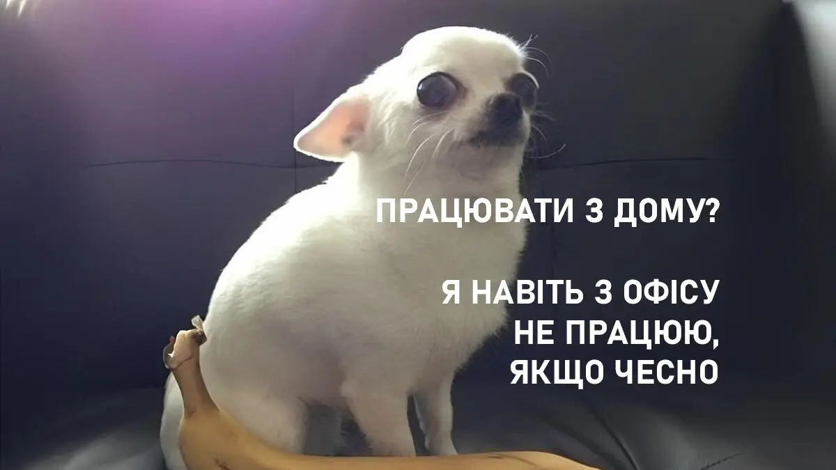 Одеса жартує в очікуванні тепла й вихідних