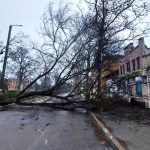 Негода в Болграді: мешканців попереджають про ризик повалення дерев