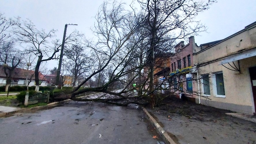 Негода в Болграді: мешканців попереджають про ризик повалення дерев