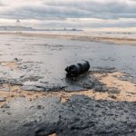 Україна поглиблює співпрацю з ООН у міжнародній ініціативі з відновлення Чорного моря