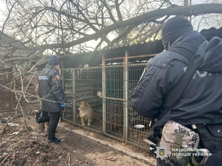 В Одещині розпочали кримінальне провадження за скаргою зоозахисників