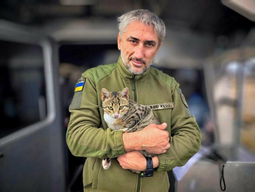 Морський вартовий на чотирьох лапах: кіт Барсик із Одещини чергує з прикордонниками — ФОТО