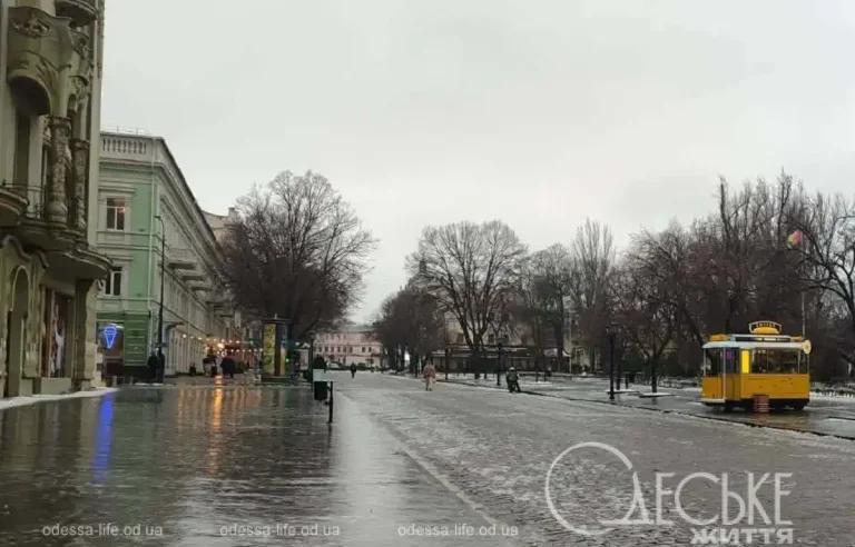 Ожеледиця в Одесі: сотні постраждалих і провал у реагуванні на негоду