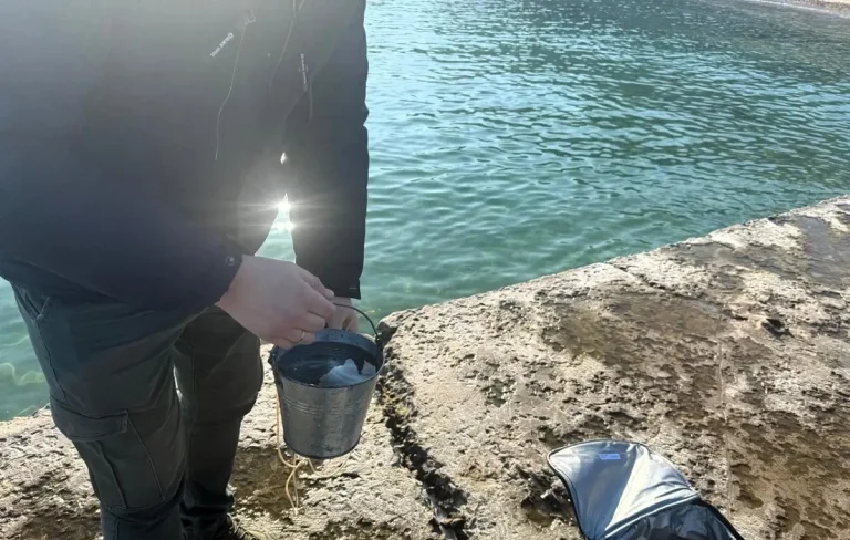 Екологи оцінили чистоту моря в Одесі — перевірка узбережжя від Ланжерона до Фонтанки