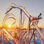 20 лютого в Одесі: уважно — на дорогах «скло»