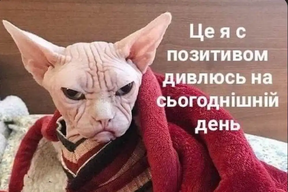 Одеський гумор, що лікує смуток: сміємося всупереч негодам