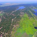 В Ізмаїльському районі вживають заходів для відновлення природного балансу в дельті Дунаю