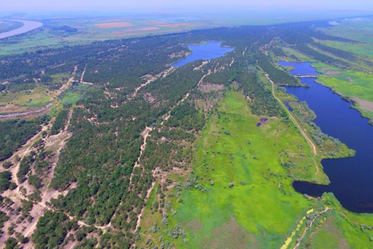 В Ізмаїльському районі вживають заходів для відновлення природного балансу в дельті Дунаю