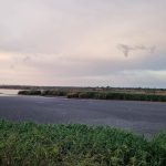 В Ізмаїльському районі зволікають із ліквідацією екологічної катастрофи на озері Китай