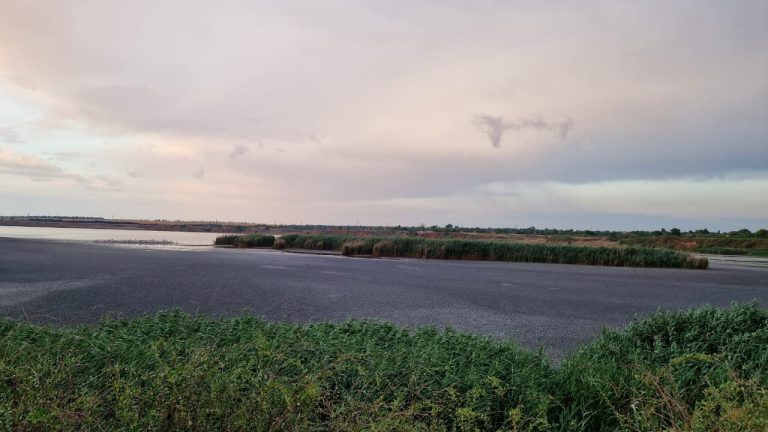 В Ізмаїльському районі зволікають із ліквідацією екологічної катастрофи на озері Китай