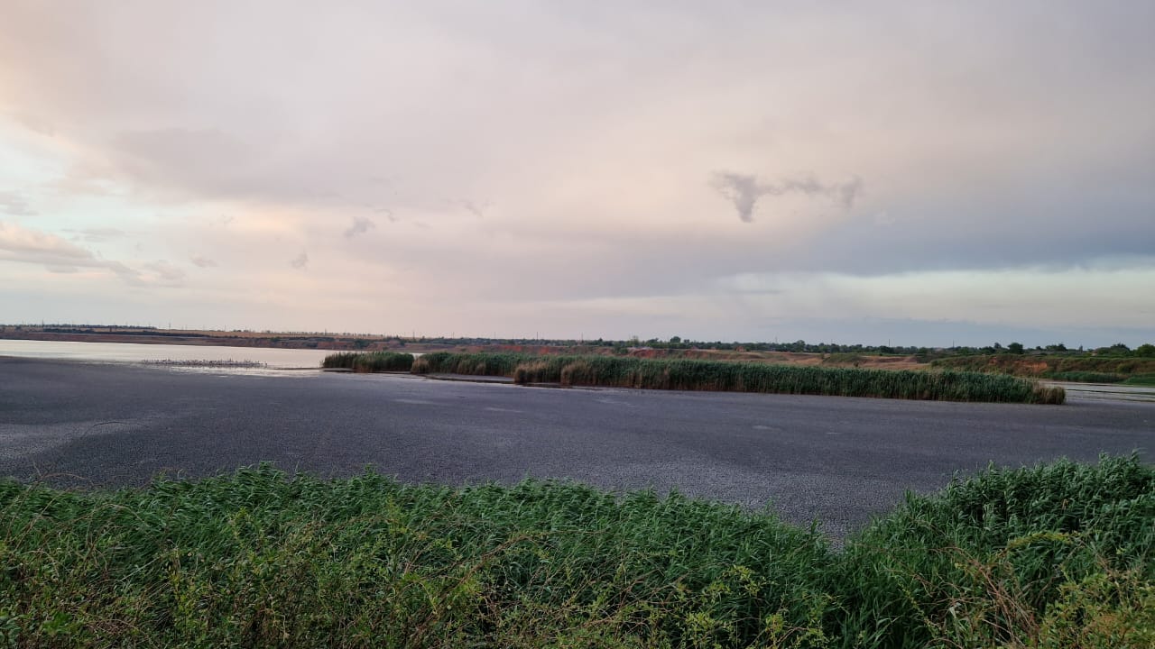 В Ізмаїльському районі зволікають із ліквідацією екологічної катастрофи на озері Китай