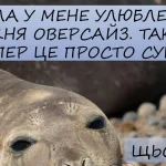 Одеський гумор: п’ятниця вже тут — час розслабитися й налаштуватися на вихідні