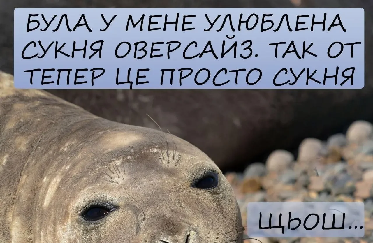 Одеський гумор: п’ятниця вже тут — час розслабитися й налаштуватися на вихідні