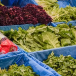 Огляд цін на зелень на одеському ринку Черемушки