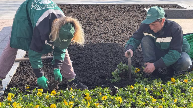 В Одесі витратять понад 815 тис. грн на облаштування квіткових клумб