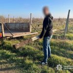 На Одещині винесли вирок чоловіку за напад і низку крадіжок — ФОТО