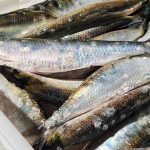 У Бессарабії відкрили сезон дунайки — ціни на перший оселедець приголомшують