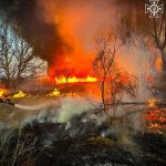Десятки загорянь сухої трави зафіксовано на Одещині