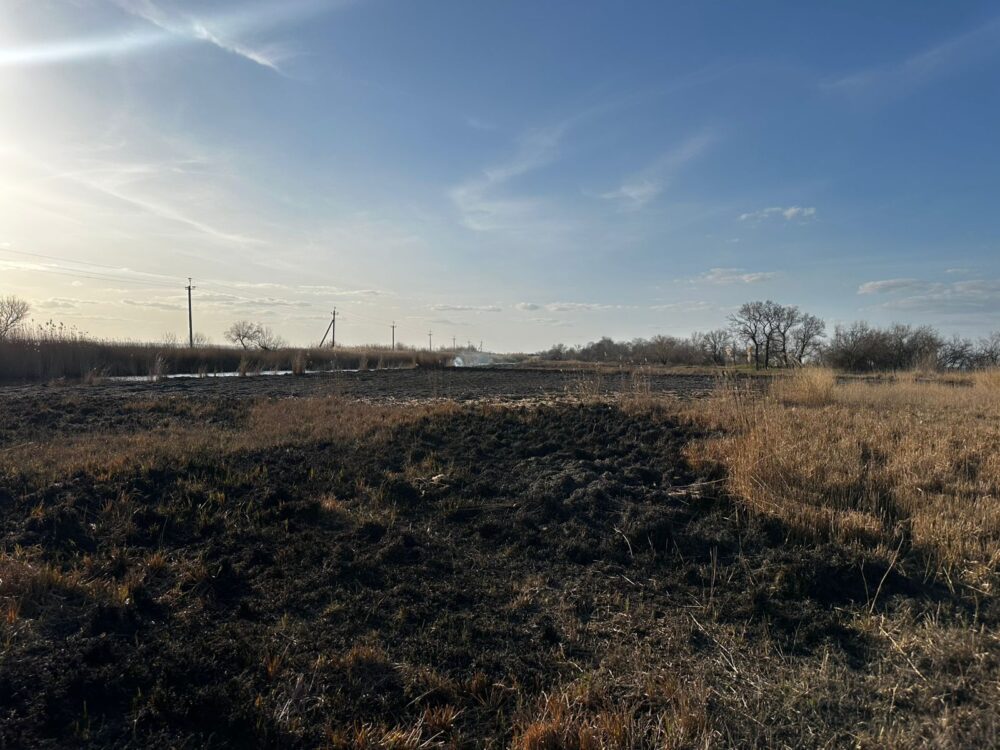 Пожежа очерету на Білгород‑Дністровщині завдала майже 600 тис. грн збитків