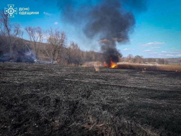 Підпали нищать Одещину — дим і полум’я душать край