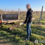 Болградський суд засудив 35-річного чоловіка за низку злочинів