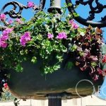 Майже 4 мільйони гривень направлять на автополив і озеленення Одеси