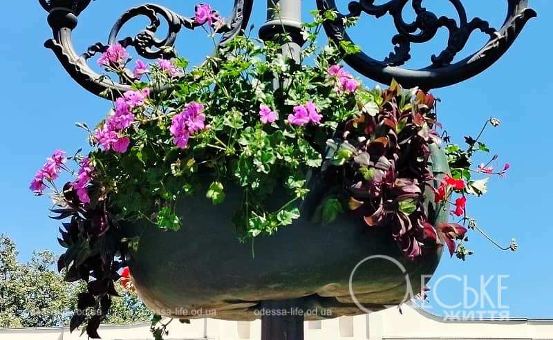 Майже 4 мільйони гривень направлять на автополив і озеленення Одеси