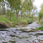 Під загрозою зникнення: ще одна річка на півдні Одещини