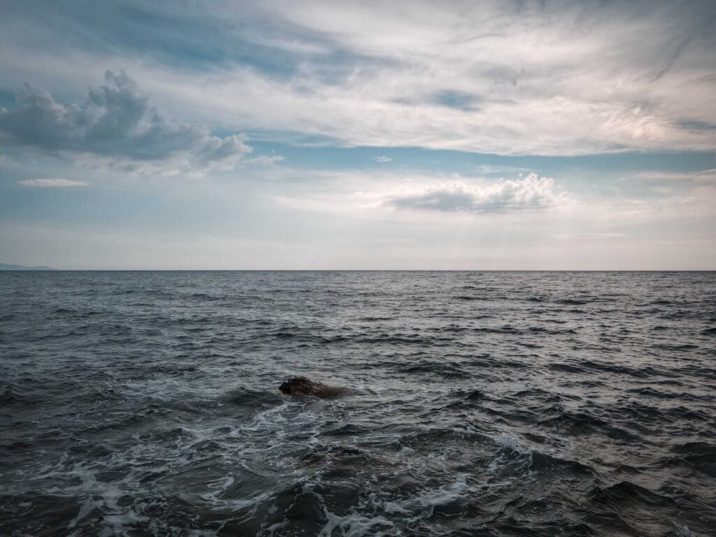 Чорне море на межі колапсу: чому акваторія може перетворитися на “мертву зону”