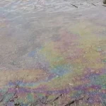 Під Одесою у річці Дністер зафіксували фосфати й нафтопродукти (відео)