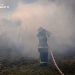 Підпали трави нищать довкілля: Одещина зазнає мільйонних збитків