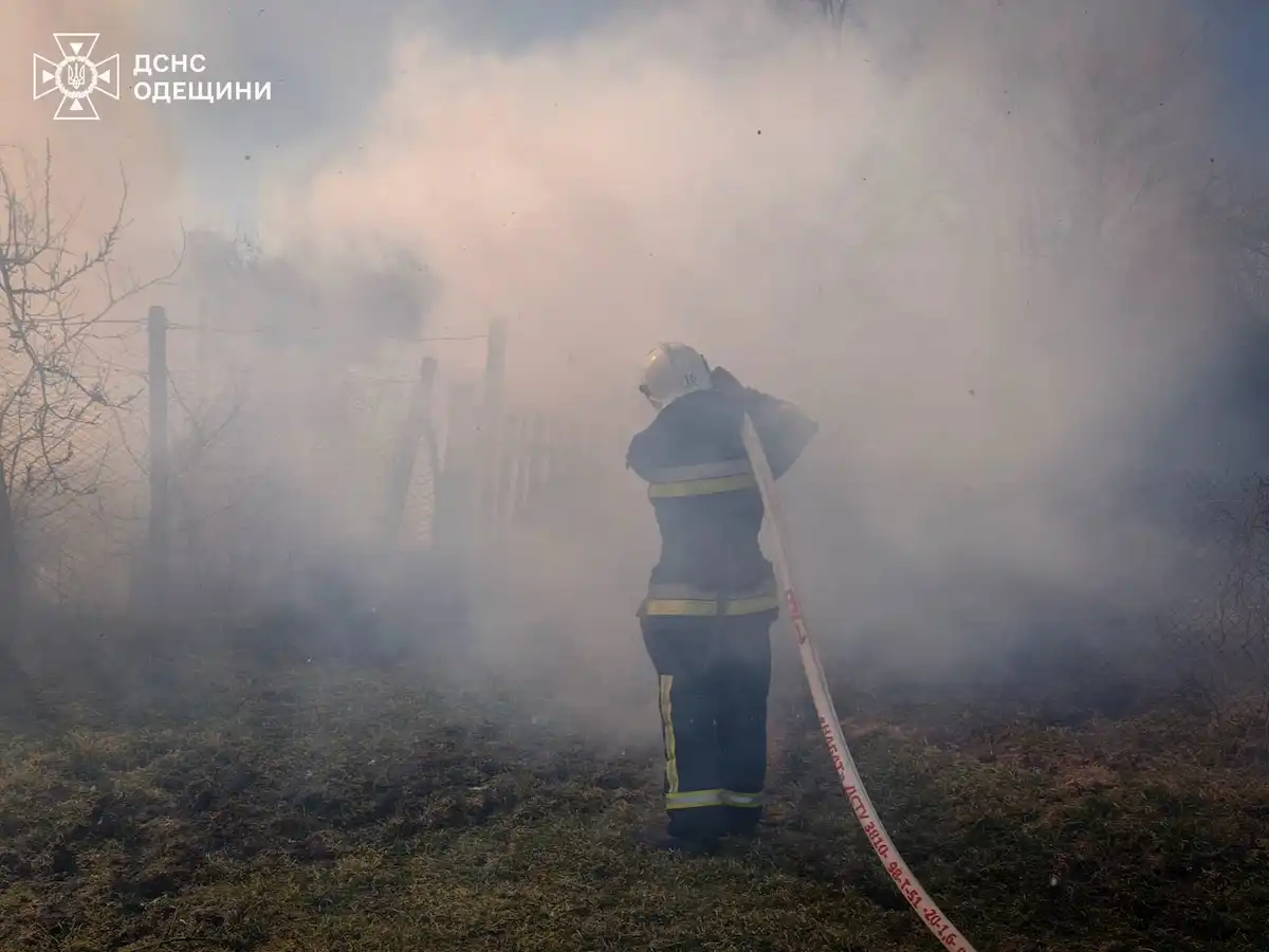 Підпали трави нищать довкілля: Одещина зазнає мільйонних збитків