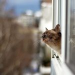 Одещина зігрівається весною — у Бессарабії прогнозують значне потепління