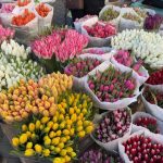 Квіти до 8 березня в Одесі: порівняння цін на Привозі та в магазинах — ФОТО