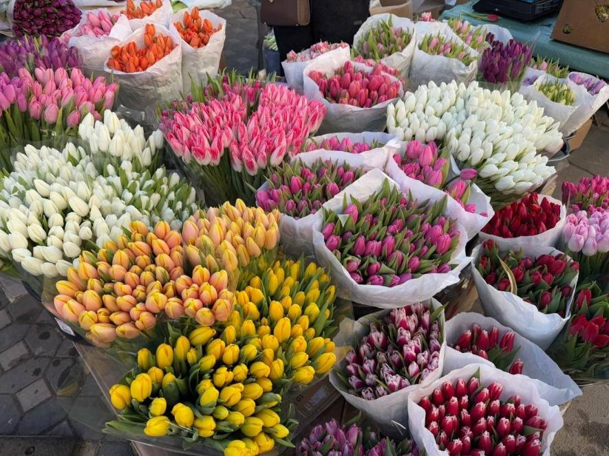 Квіти до 8 березня в Одесі: порівняння цін на Привозі та в магазинах — ФОТО