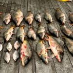 На Дністровському лимані викрили браконьєра — збитки державі перевищують 390 тисяч гривень