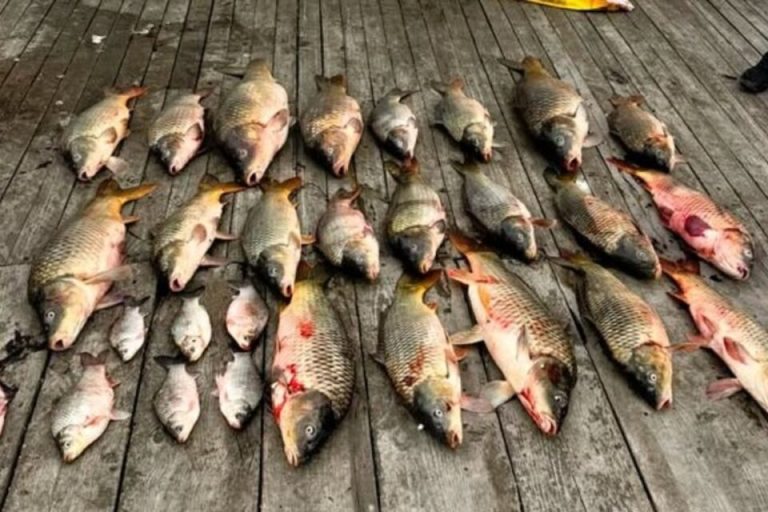 На Дністровському лимані викрили браконьєра — збитки державі перевищують 390 тисяч гривень