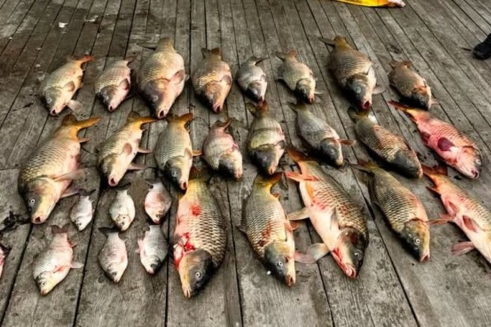 На Дністровському лимані викрили браконьєра — збитки державі перевищують 390 тисяч гривень