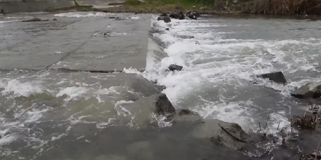 В Одещині екстрено рятують обміліле озеро Катлабух (відео)