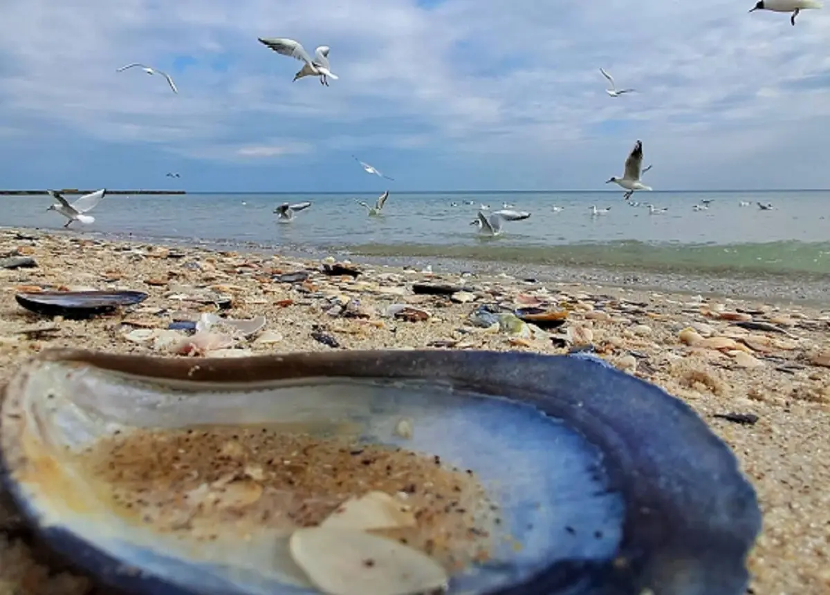 5 березня в Одесі: чи продовжить весна тішити мешканців